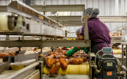 Assistent bedrijfsleider Agrarisch (HAS)