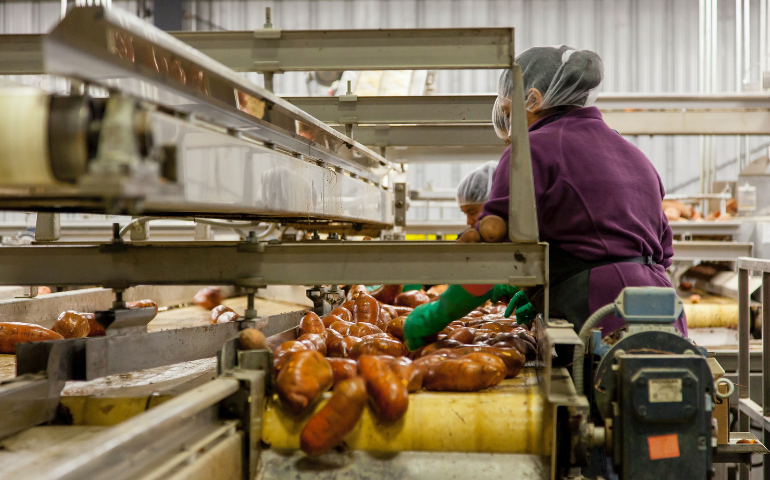 Assistent bedrijfsleider Agrarisch (HAS)